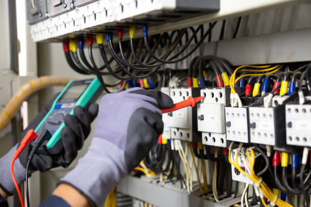 Best Electrical Panel Upgrades  in Paw Paw Lake, MI